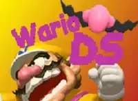 Wario DS