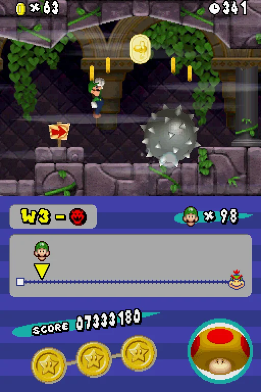 Newer Super Mario Bros DS screenshot 3